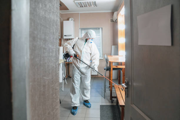 Best Mold Odor Removal Services  in Wheaton, MN
