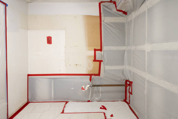Best Mold Remediation for Rental Properties  in Wheaton, MN