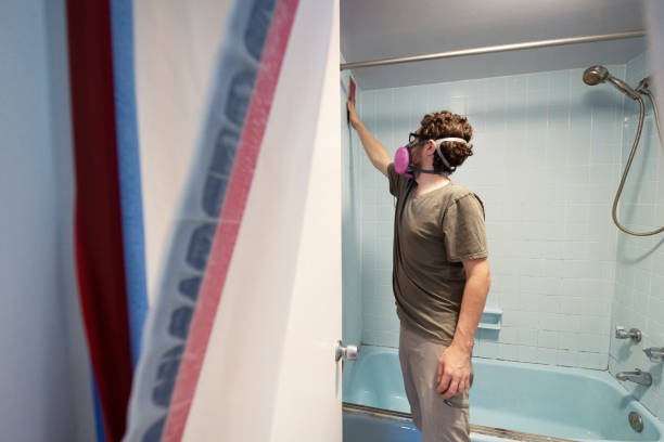 Best Commercial Mold Inspection  in Wheaton, MN