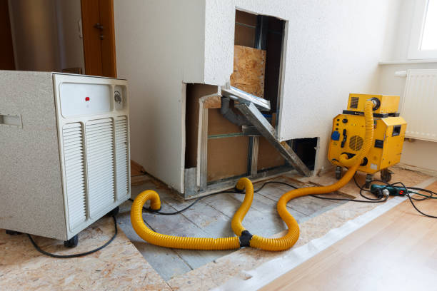 Best Asbestos and Lead Testing During Mold Inspection  in Wheaton, MN